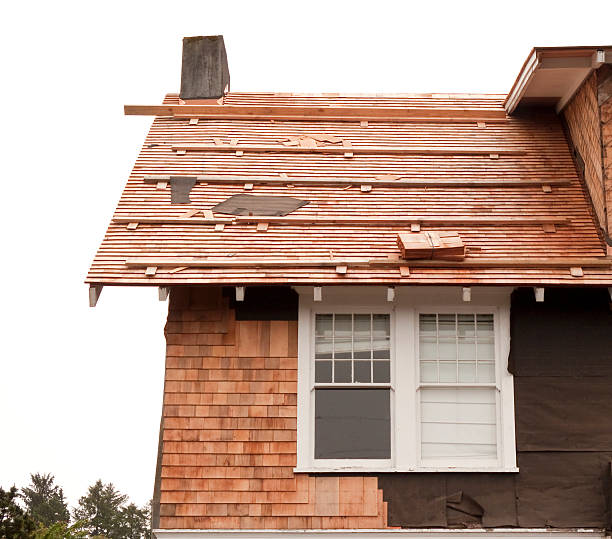 Storm Damage Siding Repair in Holiday Shores, IL